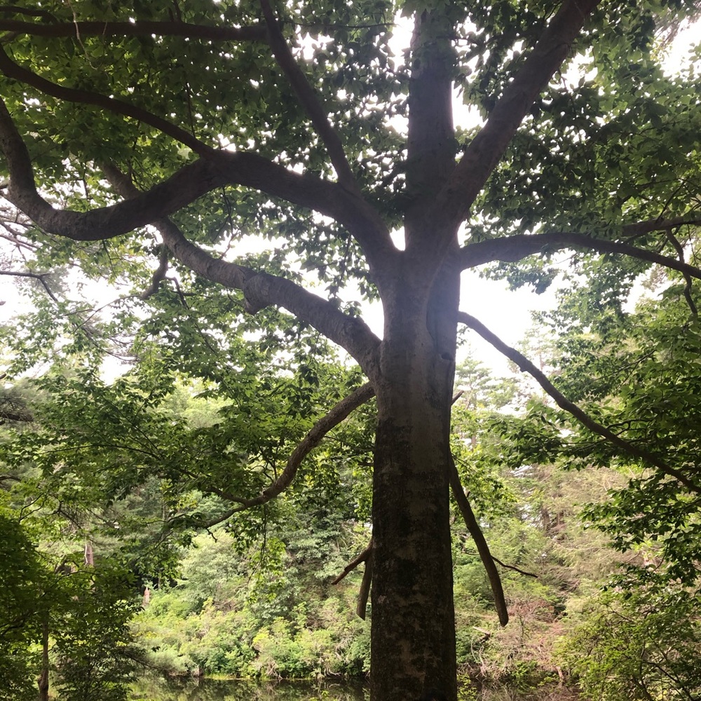 Meet your Posher, Jen